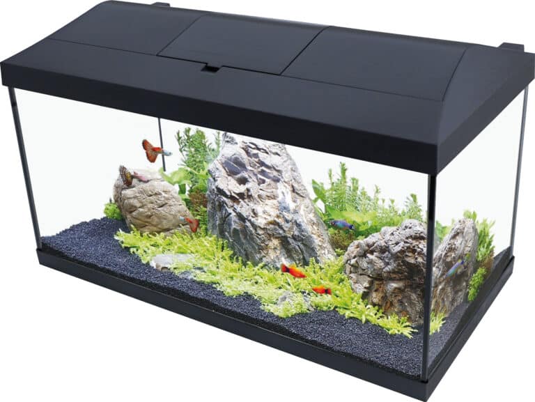 Weggelaten idee onvoorwaardelijk AquaEl Leddy - Complete Aquarium Set - 60x30x30 cm - Inhoud 54 ltr -  Hondenspullenkopen.nl