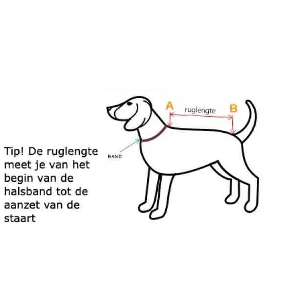 Hoe ruglengte meten hond