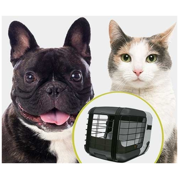 4pets Caree - Transportbox - Hond - Kat